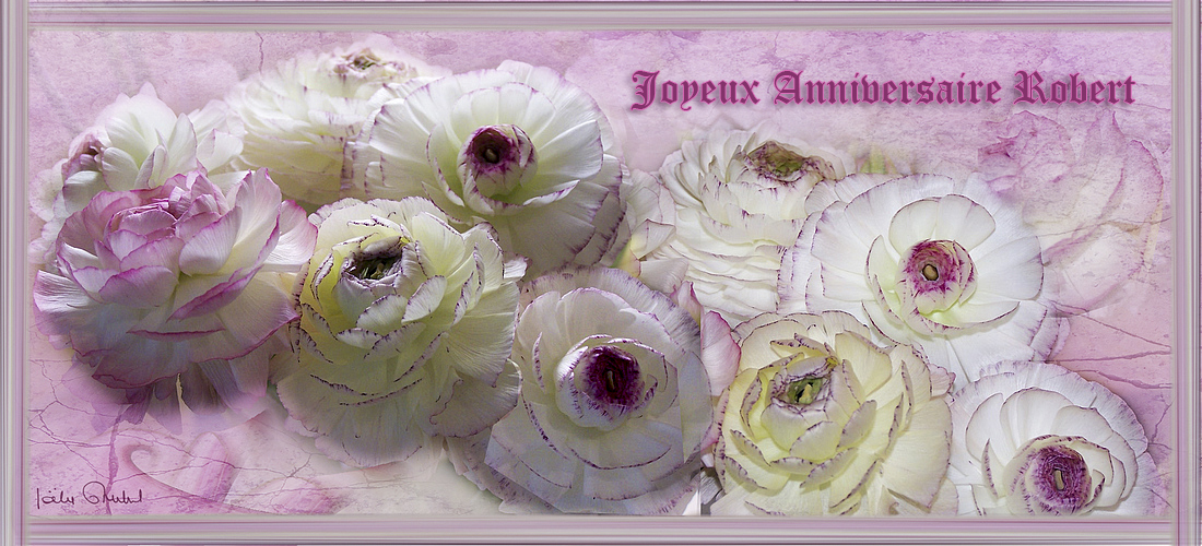 Joyeux Anniversaire Robert Photo Et Image Cartes De Voeux Special Images Fotocommunity Joyeux Anniversaire Robert Photo Et Image Cartes De Voeux Special Images Fotocommunity