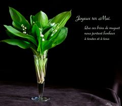 Joyeux Muguet !