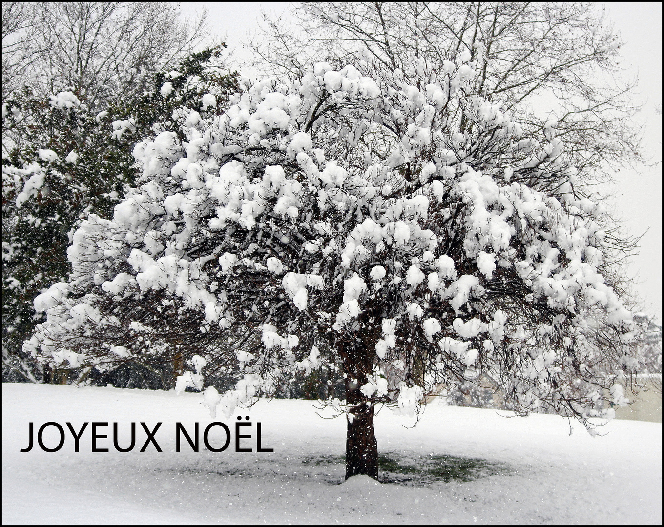 Joyeux Noël