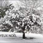 Joyeux Noël