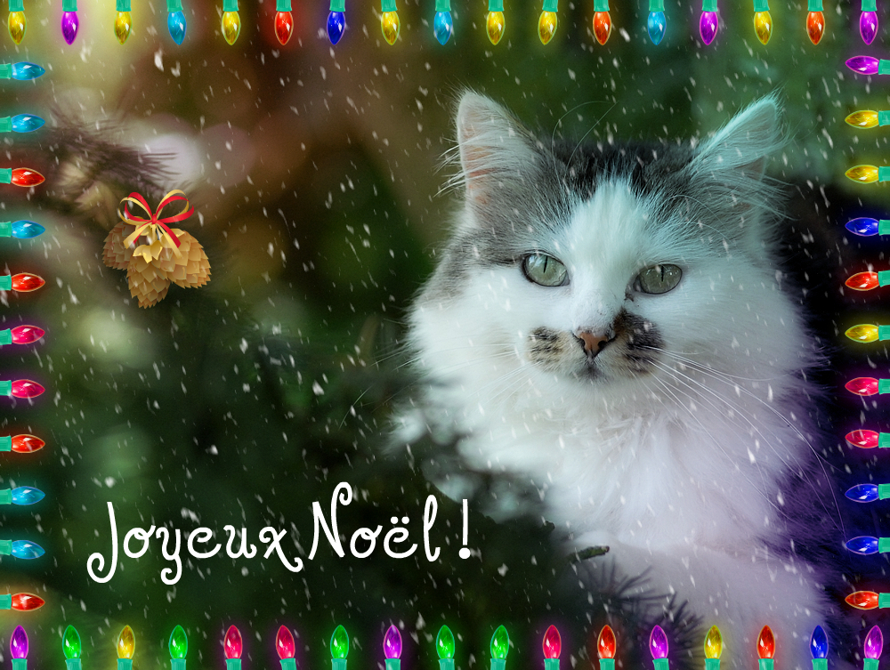 Joyeux Noël !