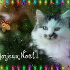 Joyeux Noël !