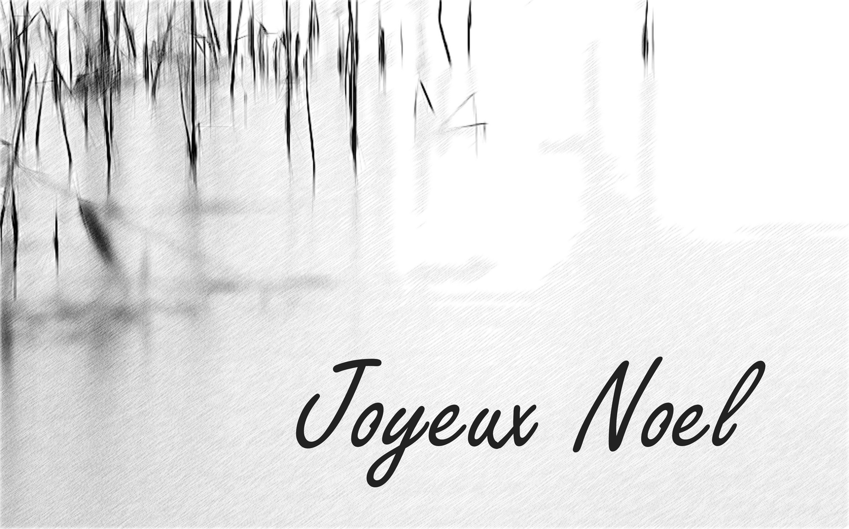 joyeux noel ...