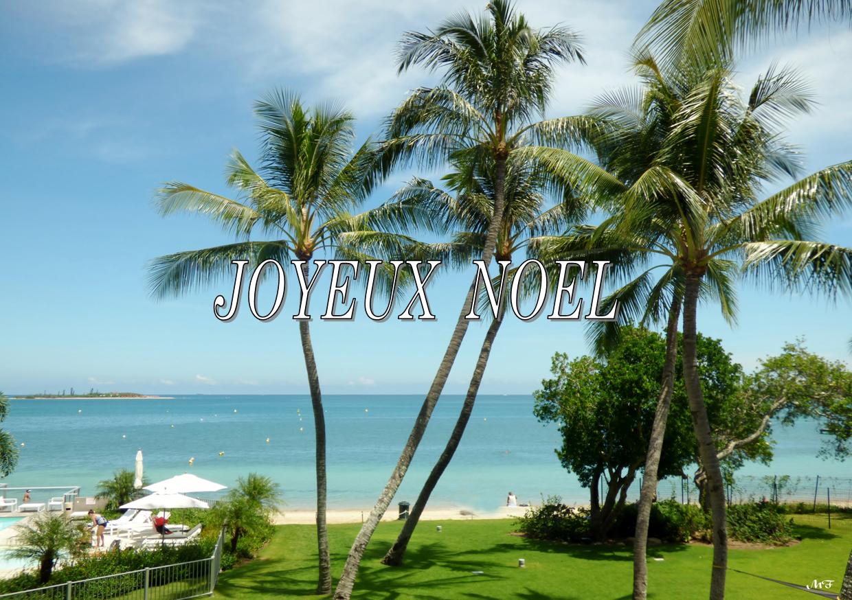 JOYEUX  NOEL