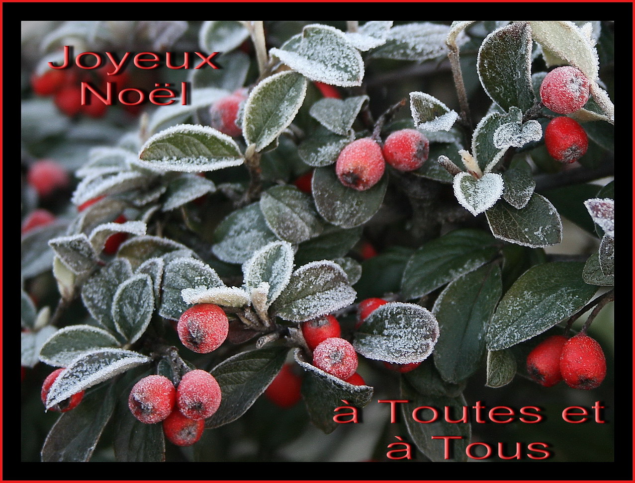 Joyeux Noël