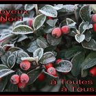 Joyeux Noël