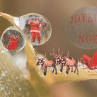 Joyeux NOEL à tous !!