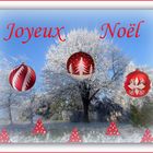 Joyeux Noël à toutes et tous