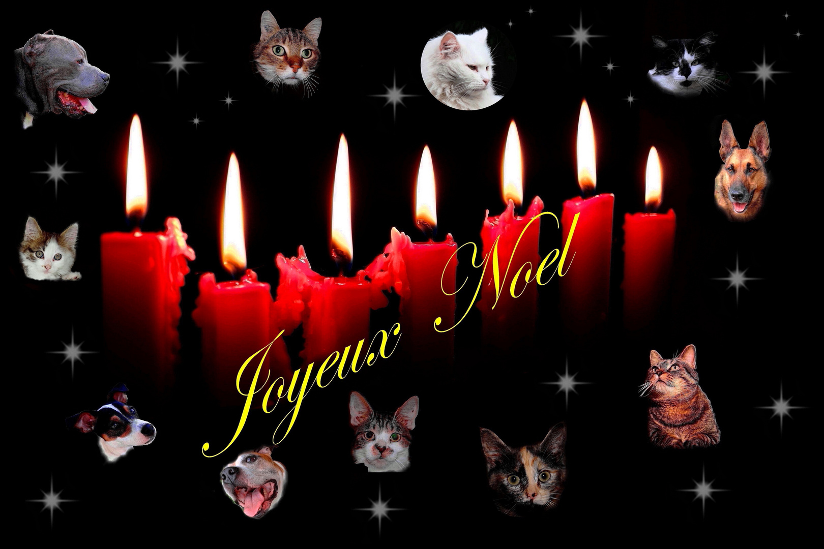 Joyeux Noel 