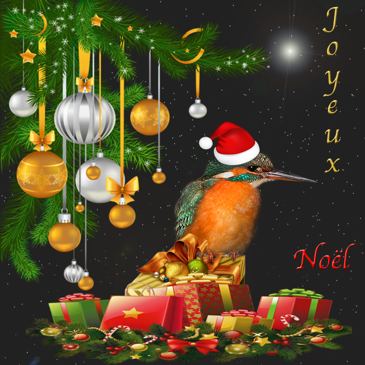 Joyeux  Noël 