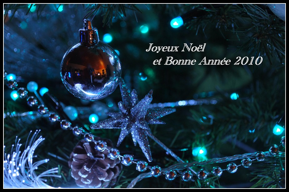 Joyeux Noël et Bonne Année 2010