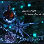 Joyeux Noël et Bonne Année 2010