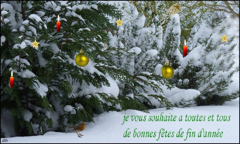 JOYEUX NOEL ET BONNES FETES AUX MEMBRES DE FC