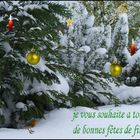 JOYEUX NOEL ET BONNES FETES AUX MEMBRES DE FC