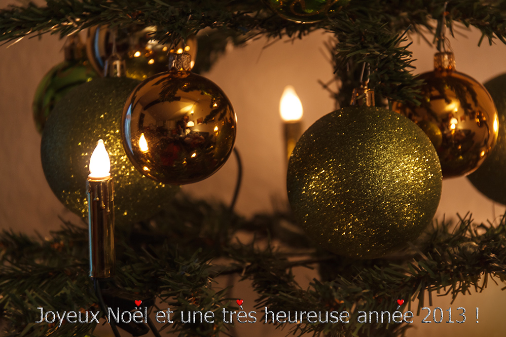 Joyeux Noël et une très heureuse année 2013 !