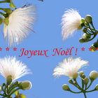 Joyeux Noël