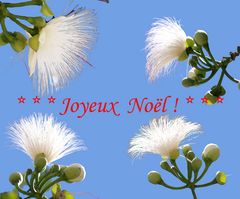 Joyeux Noël