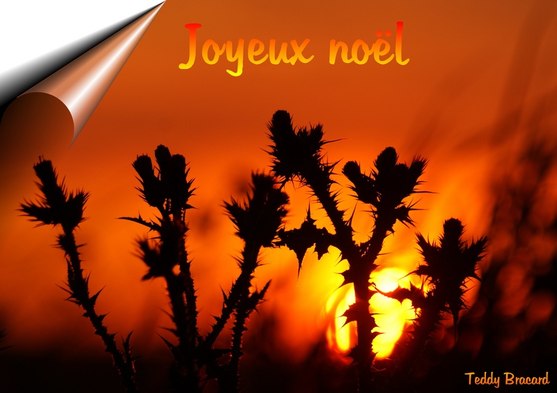 Joyeux noël