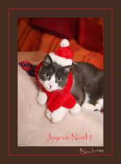 Joyeux Noël Fotocommunity ainsi qu'aux utilisateurs !!