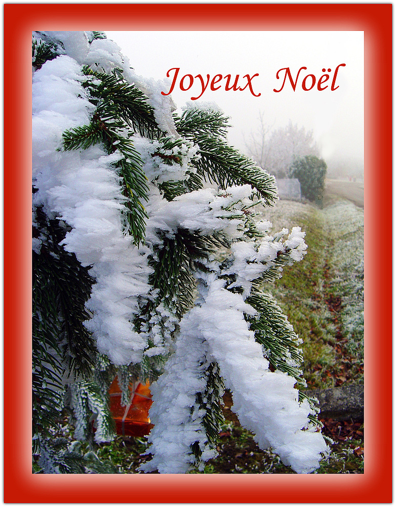 Joyeux Noël  --  Frohe Weihnachten