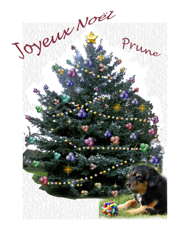 Joyeux Noël Prune