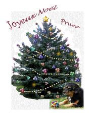 Joyeux Noël Prune