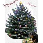 Joyeux Noël Prune