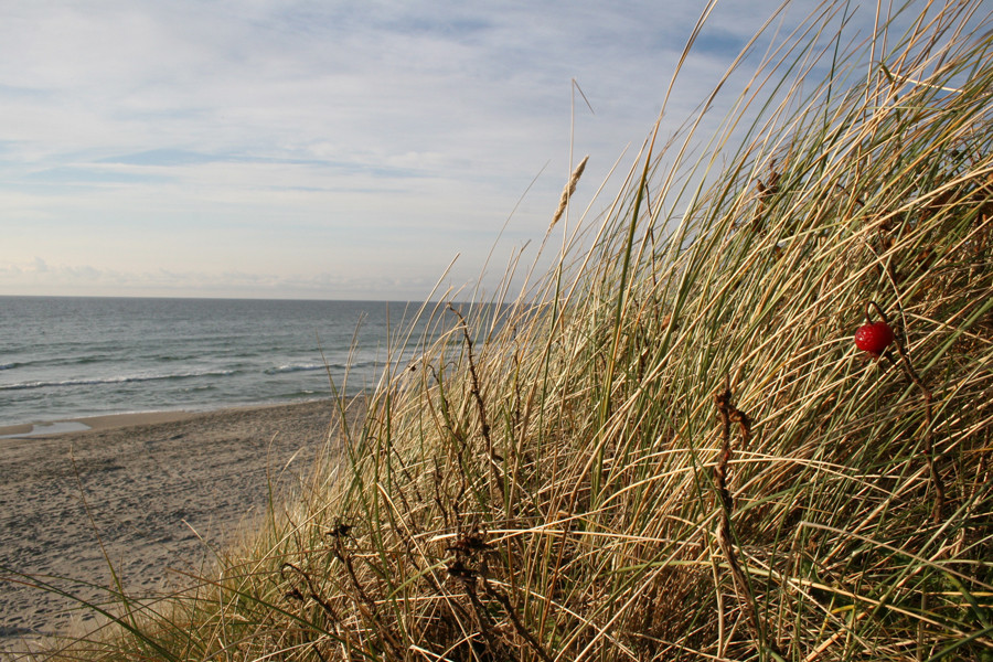 jærstrand