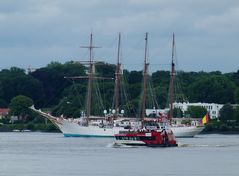 JS Elcano - Spanisches Segelschulschiff