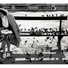 J.S.K.B könnte hier 77 einzelne Vogelbilder fotografieren: Lonely Lady Feeding the Sparrows.