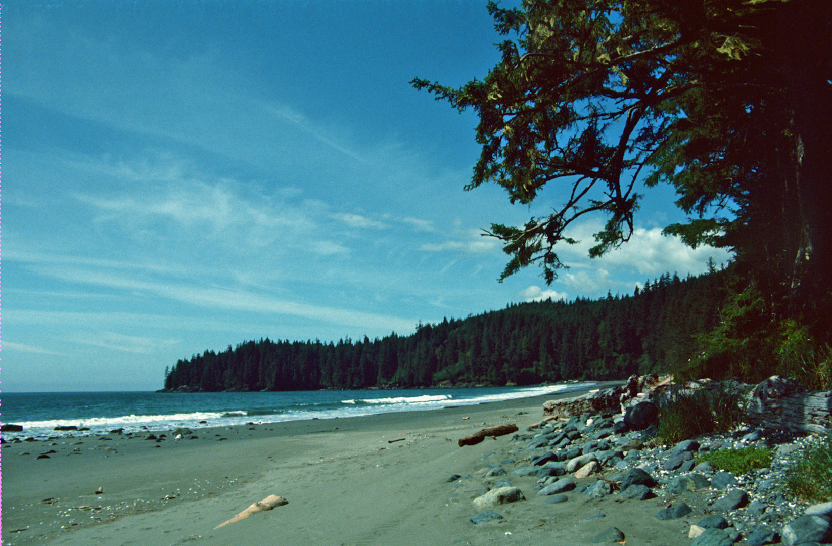 Juan de Fuca Strait, China Beach, Vancouver Island, 1992