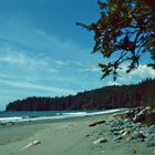 Juan de Fuca Strait, China Beach, Vancouver Island, 1992