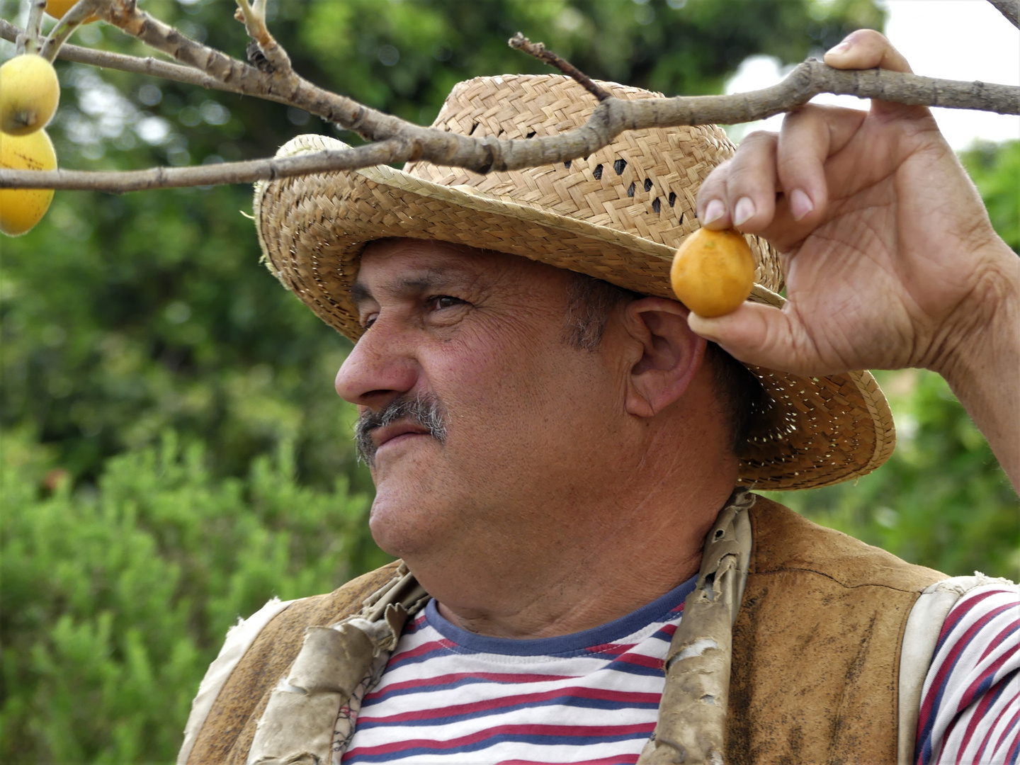 JUAN MORENO NAVARRO