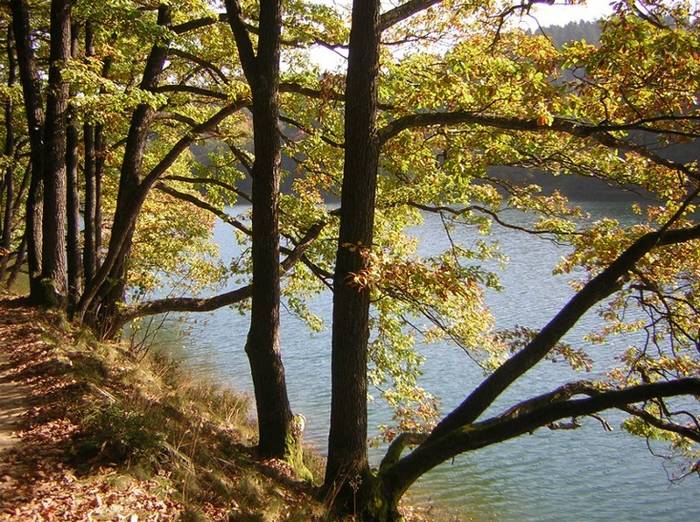 Jubach-Talsperren-Herbstspaziergang