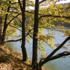 Jubach-Talsperren-Herbstspaziergang