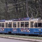 Jubiläum "105 Jahre Straßenbahn nach Grünwald" (2)