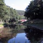 Jubiläum zum 80 Jahrestag der Teufelstalbrücke im Zeitzgrund