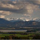 juchhe auf der hohen Alm.....