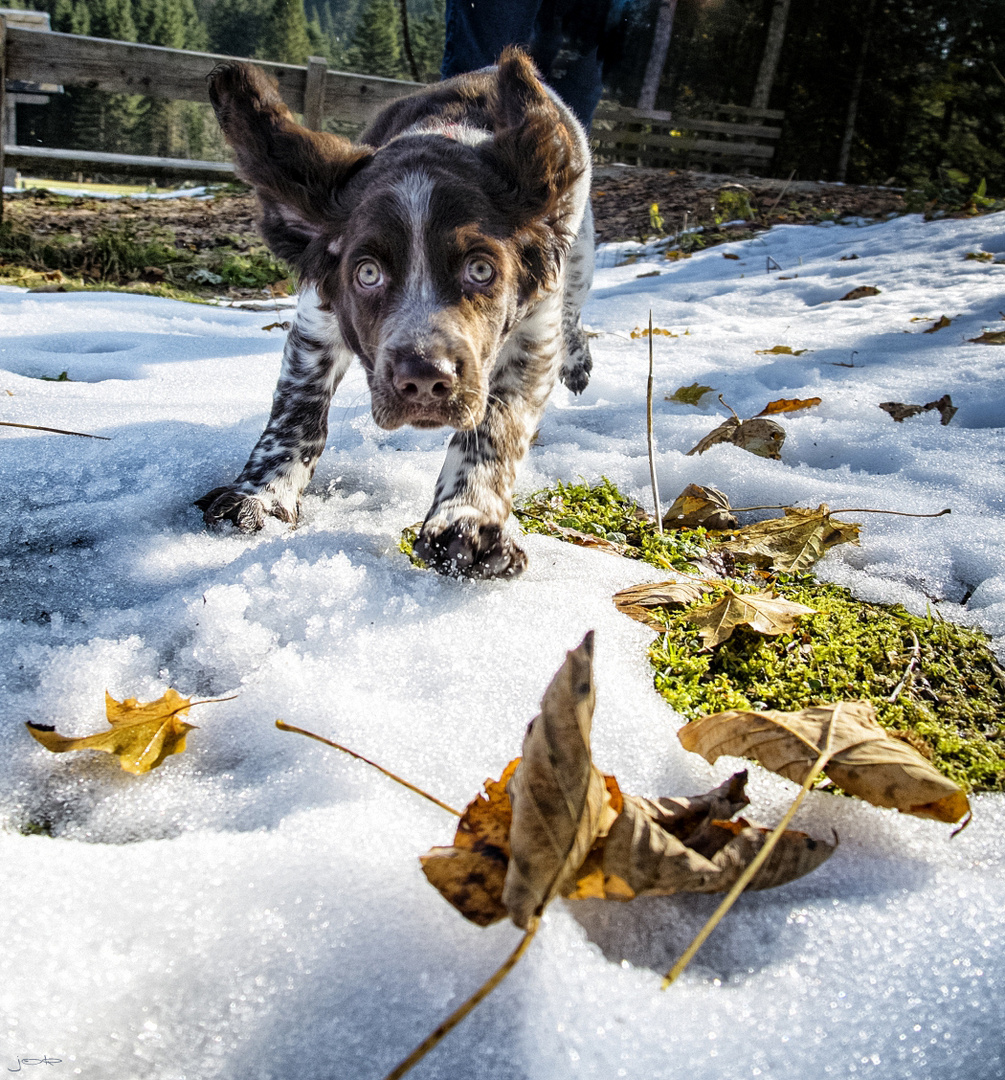 " JUCHHE " mein erster Schnee