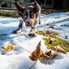 " JUCHHE " mein erster Schnee