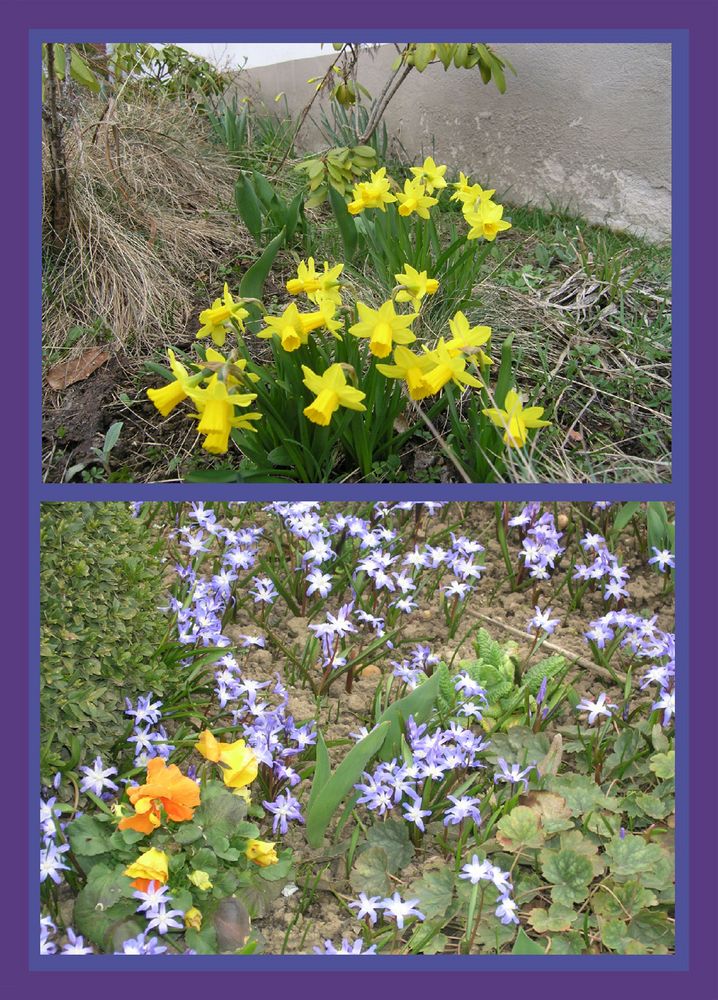 juchu - der frühling ist da...