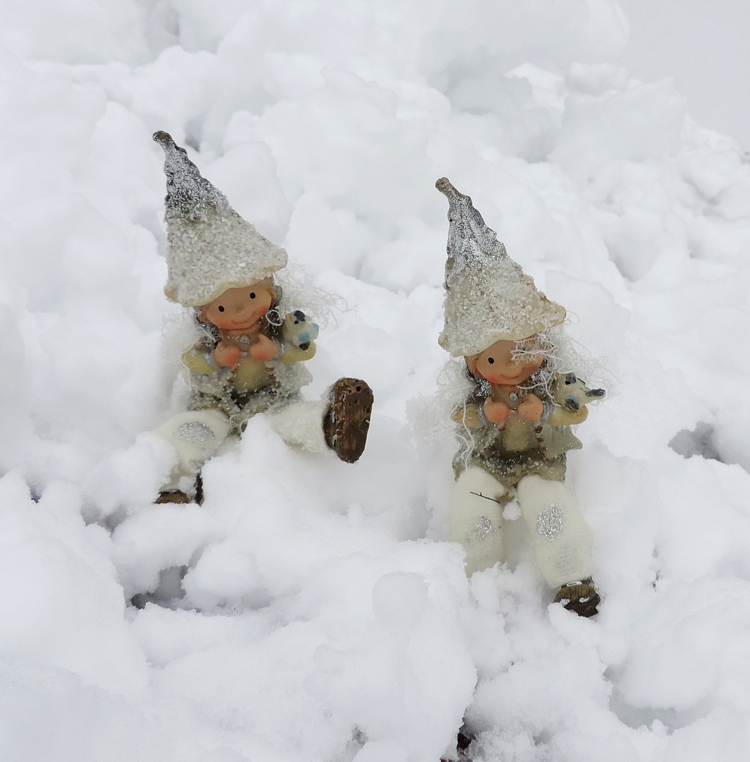 Juchu,Juche....... Foto & Bild jahreszeiten, winter, schnee Bilder