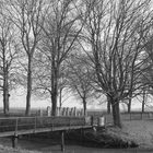 Juden Friedhof in Jemgum