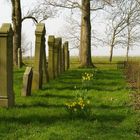 Juden Friedhof in Jemgum im Rheiderland