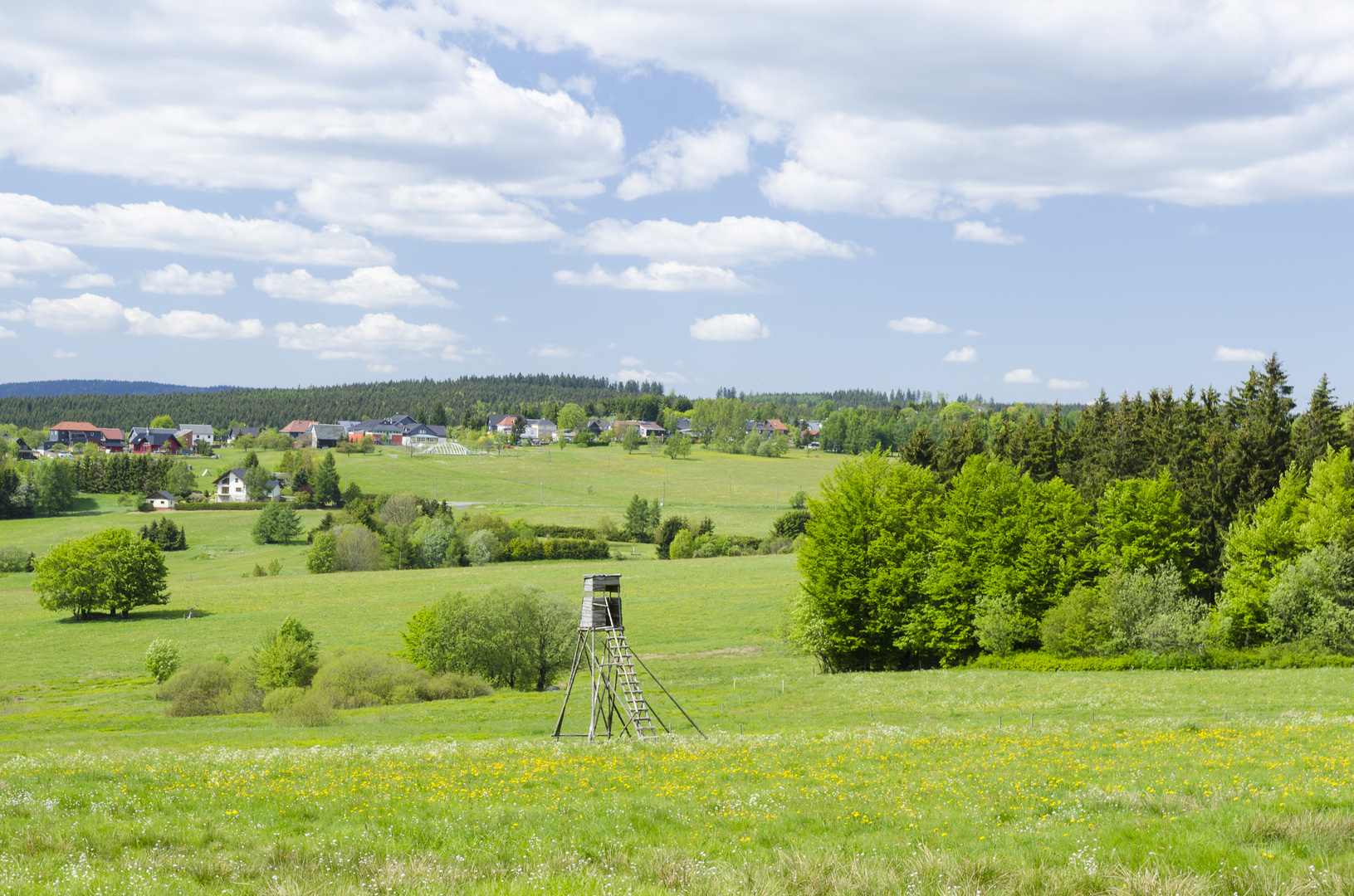 Judenbach im Mai