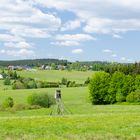 Judenbach im Mai