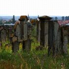 Judenfriedhof am Schwanberg zwischen Iphofen und Rödelsee