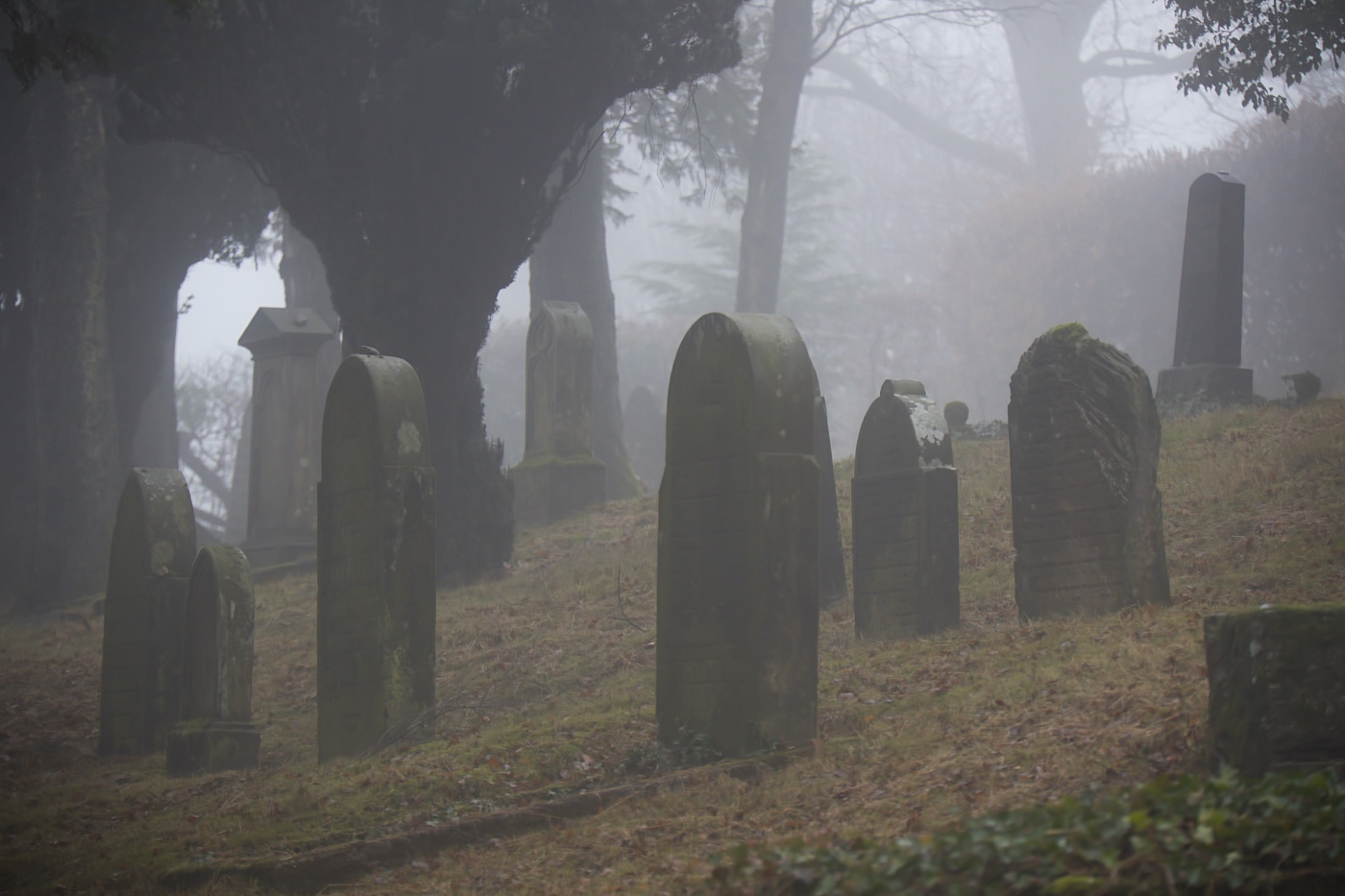 Judenfriedhof auf dem Ehrenberg