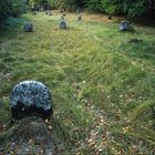 Judenfriedhof bei Langenfeld