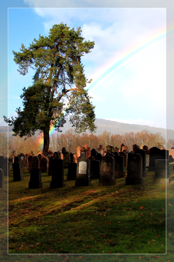 judenfriedhof in altengronau (mkk)